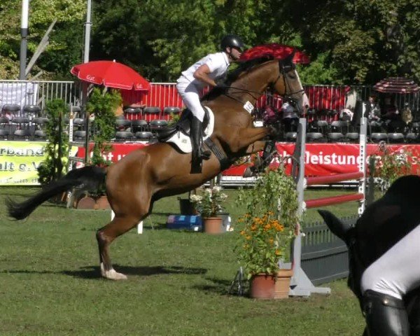 Reitturnier Aschersleben 2024