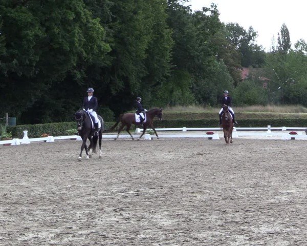 Reitturnier Werne 2024