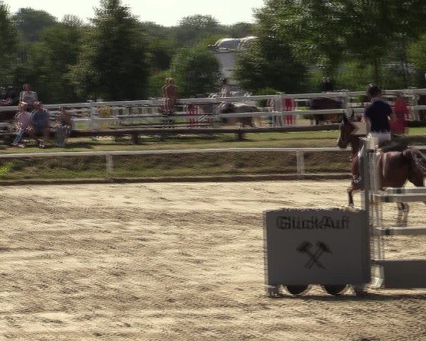 Reitturnier Werne 2024