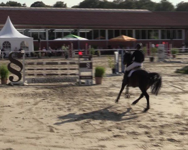 Reitturnier Werne 2024