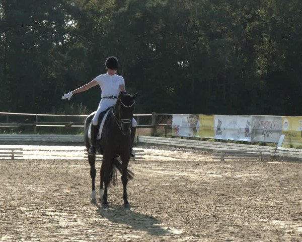 Reitturnier Ostbevern 2024