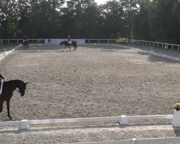 Reitturnier Zillhofen/Obb. 2024