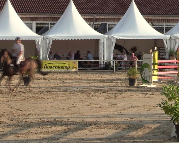 Reitturnier Werne 2024