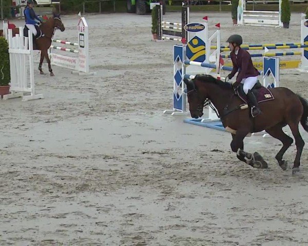 Reitturnier Großbardorf/Ufr. 2024