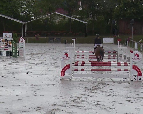 Reitturnier Großbardorf/Ufr. 2024