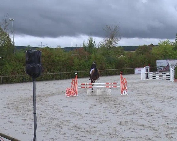 Reitturnier Großbardorf/Ufr. 2024