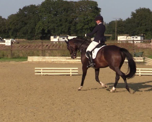 Reitturnier Ostbevern 2024