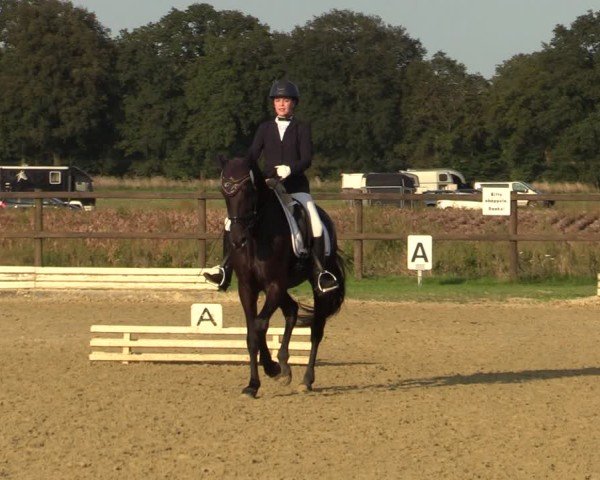 Reitturnier Ostbevern 2024