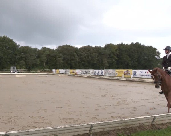 Reitturnier Ostbevern 2024