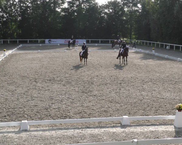 Reitturnier Zillhofen/Obb. 2024