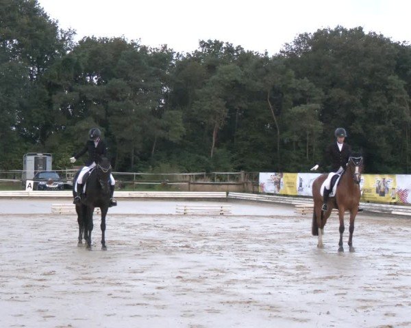 Reitturnier Ostbevern 2024