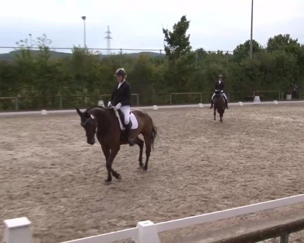 Reitturnier Großbardorf/Ufr. 2024