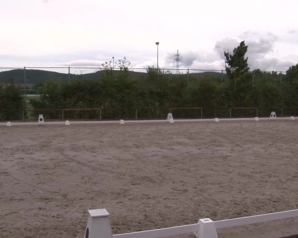 Reitturnier Großbardorf/Ufr. 2024