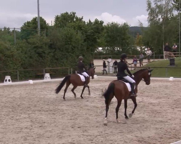Reitturnier Großbardorf/Ufr. 2024