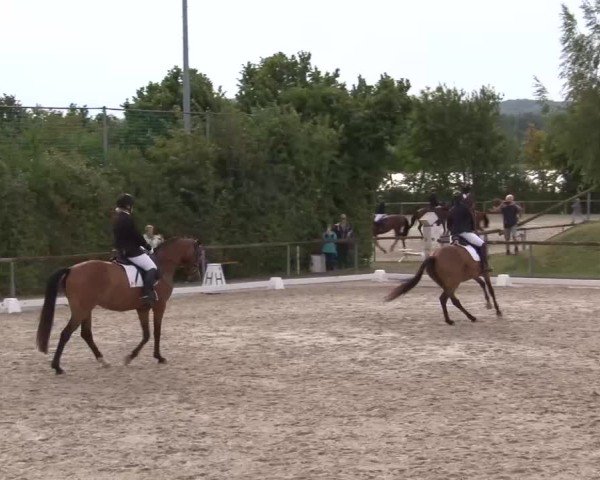 Reitturnier Großbardorf/Ufr. 2024