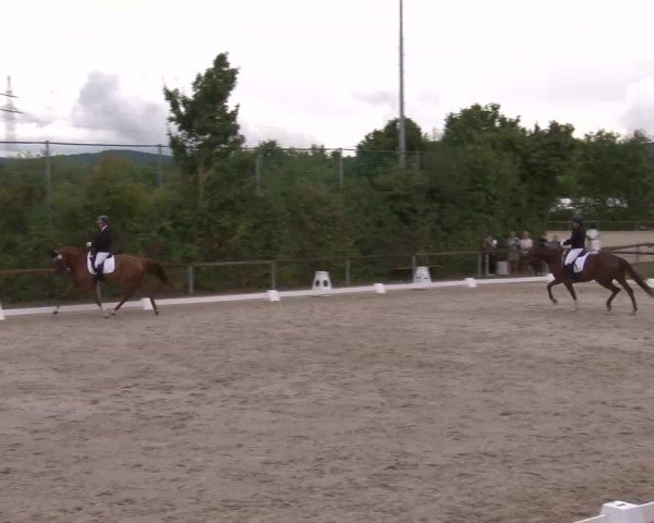 Reitturnier Großbardorf/Ufr. 2024