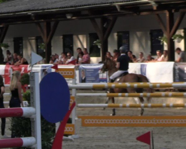 Reitturnier Solingen 2024