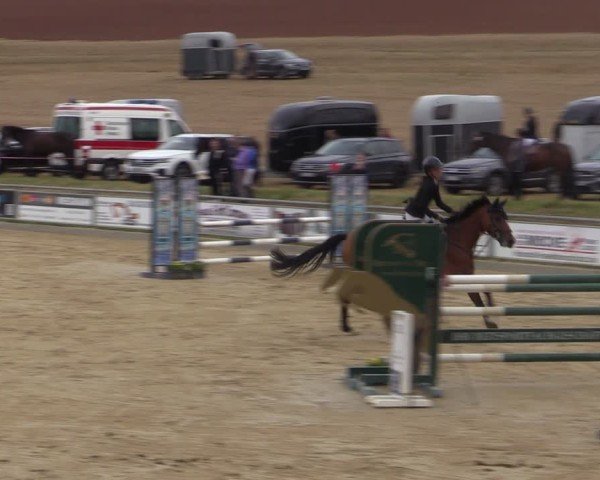 Reitturnier Duderstadt 2024