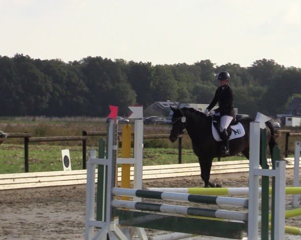 Reitturnier Ostbevern 2024