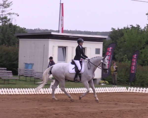 Reitturnier Lengenfeld/Vogtl. 2024