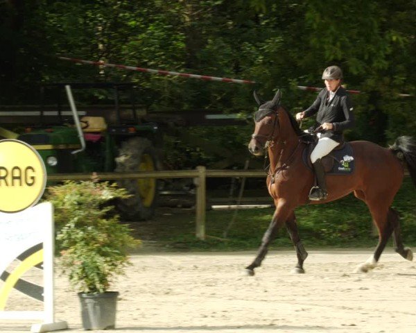 Reitturnier Walldorf/Winterheck 2024