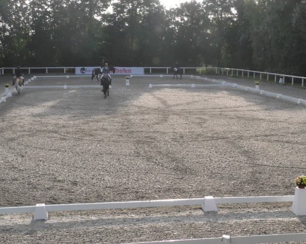 Reitturnier Zillhofen/Obb. 2024