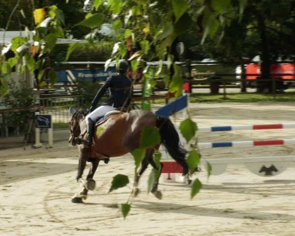 Reitturnier Walldorf/Winterheck 2024