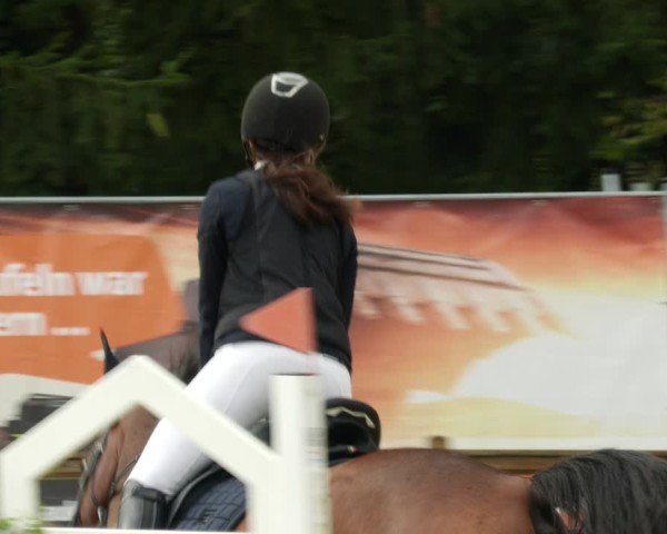 Reitturnier Walldorf/Winterheck 2024