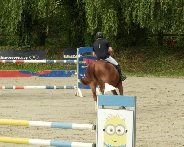 Reitturnier Walldorf/Winterheck 2024