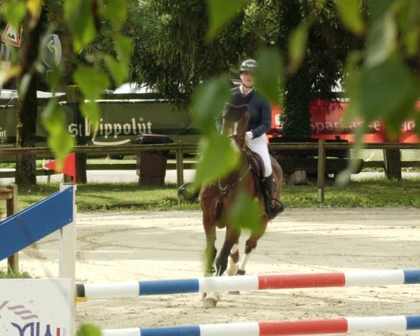Reitturnier Walldorf/Winterheck 2024