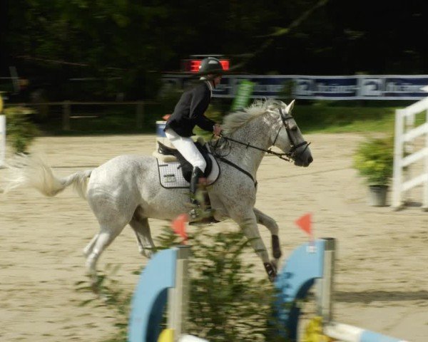 Reitturnier Walldorf/Winterheck 2024
