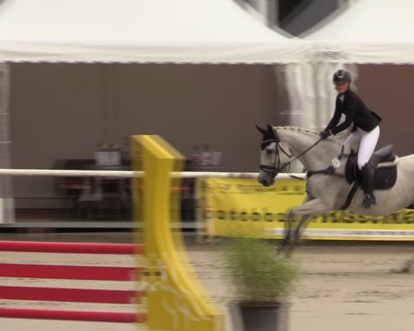 Reitturnier Werne 2024