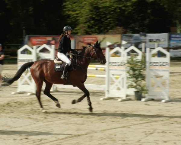 Reitturnier Walldorf/Winterheck 2024