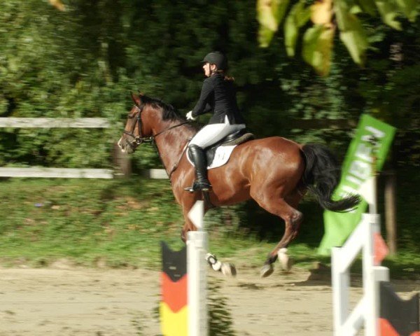 Reitturnier Walldorf/Winterheck 2024