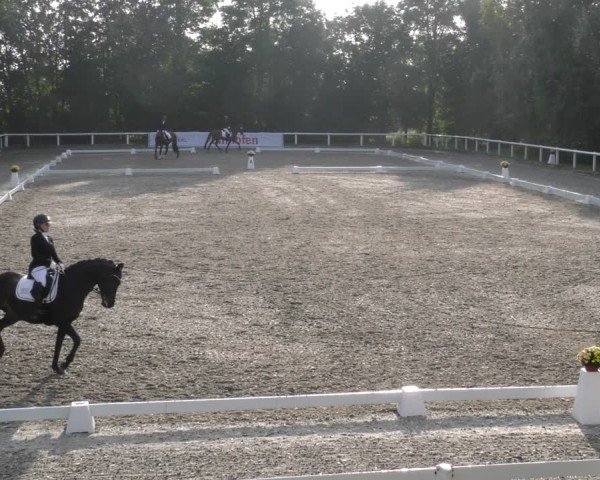 Reitturnier Zillhofen/Obb. 2024