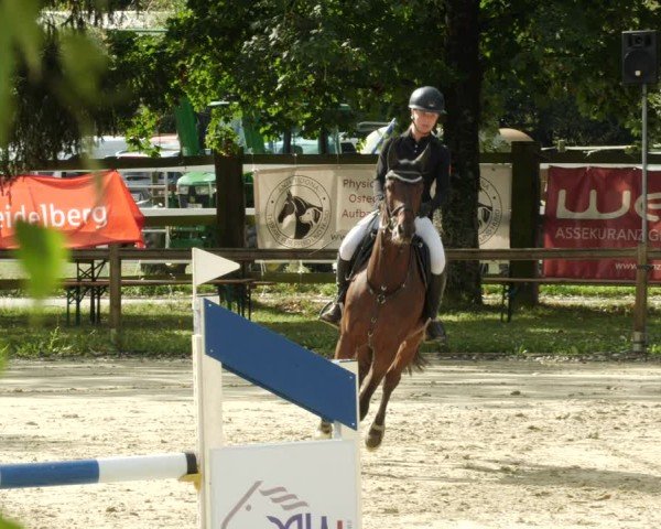 Reitturnier Walldorf/Winterheck 2024