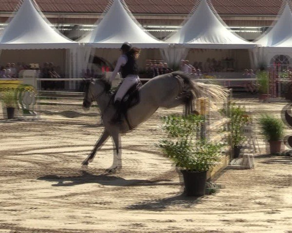 Reitturnier Werne 2024
