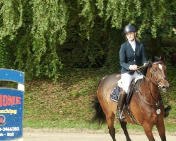Reitturnier Walldorf/Winterheck 2024