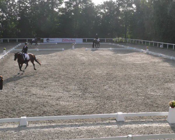 Reitturnier Zillhofen/Obb. 2024