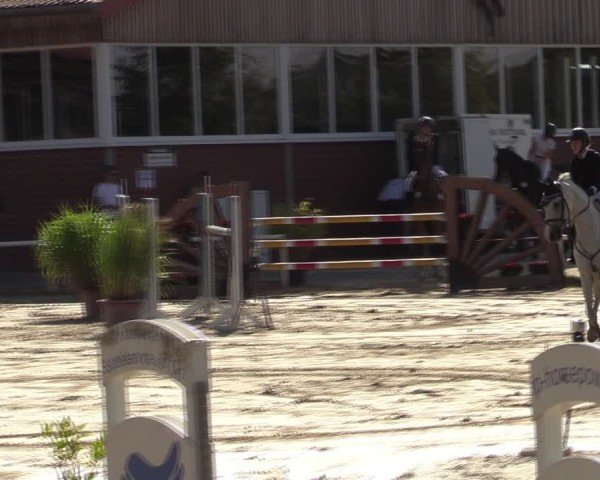 Reitturnier Werne 2024