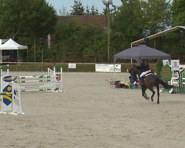 Reitturnier Großbardorf/Ufr. 2024