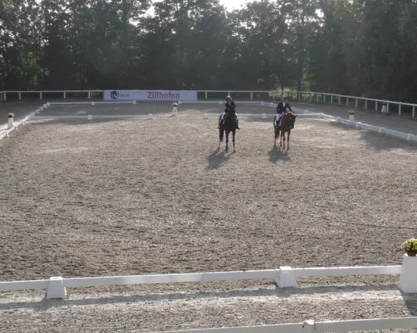 Reitturnier Zillhofen/Obb. 2024