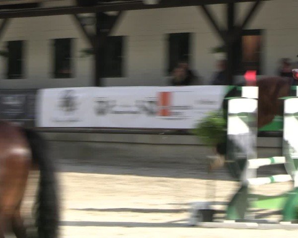 Reitturnier Solingen 2024