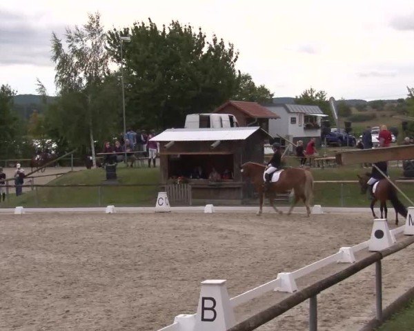 Reitturnier Großbardorf/Ufr. 2024