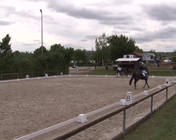 Reitturnier Großbardorf/Ufr. 2024