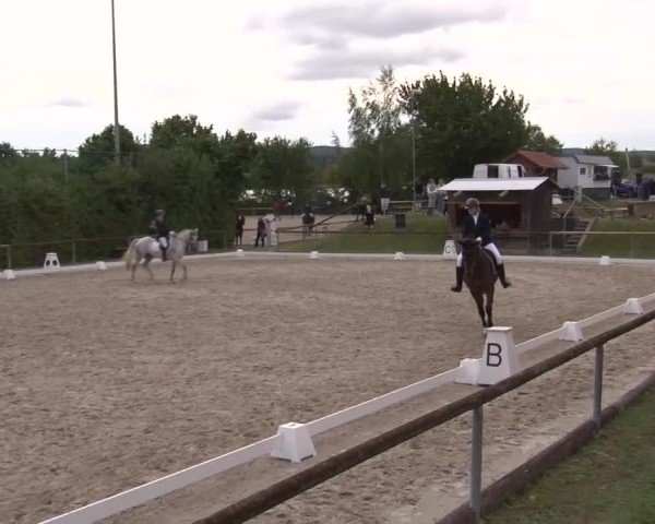 Reitturnier Großbardorf/Ufr. 2024