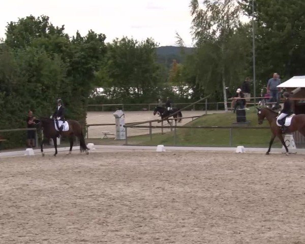 Reitturnier Großbardorf/Ufr. 2024
