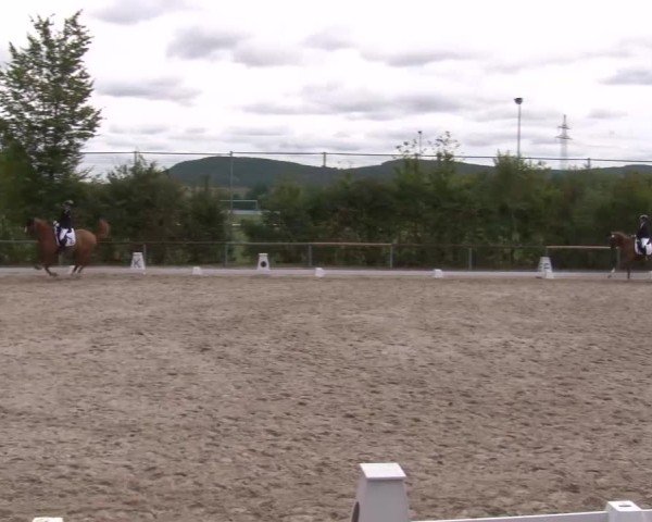 Reitturnier Großbardorf/Ufr. 2024