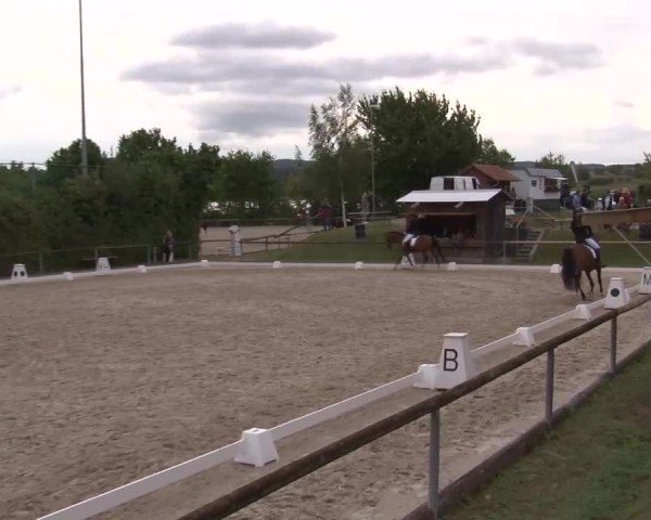 Reitturnier Großbardorf/Ufr. 2024