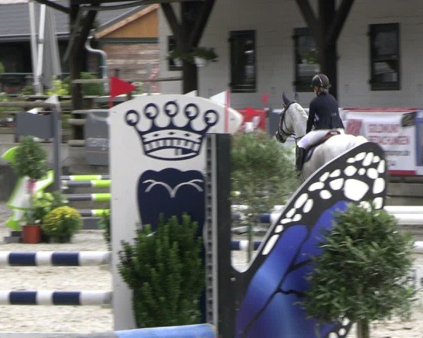 Reitturnier Solingen 2024